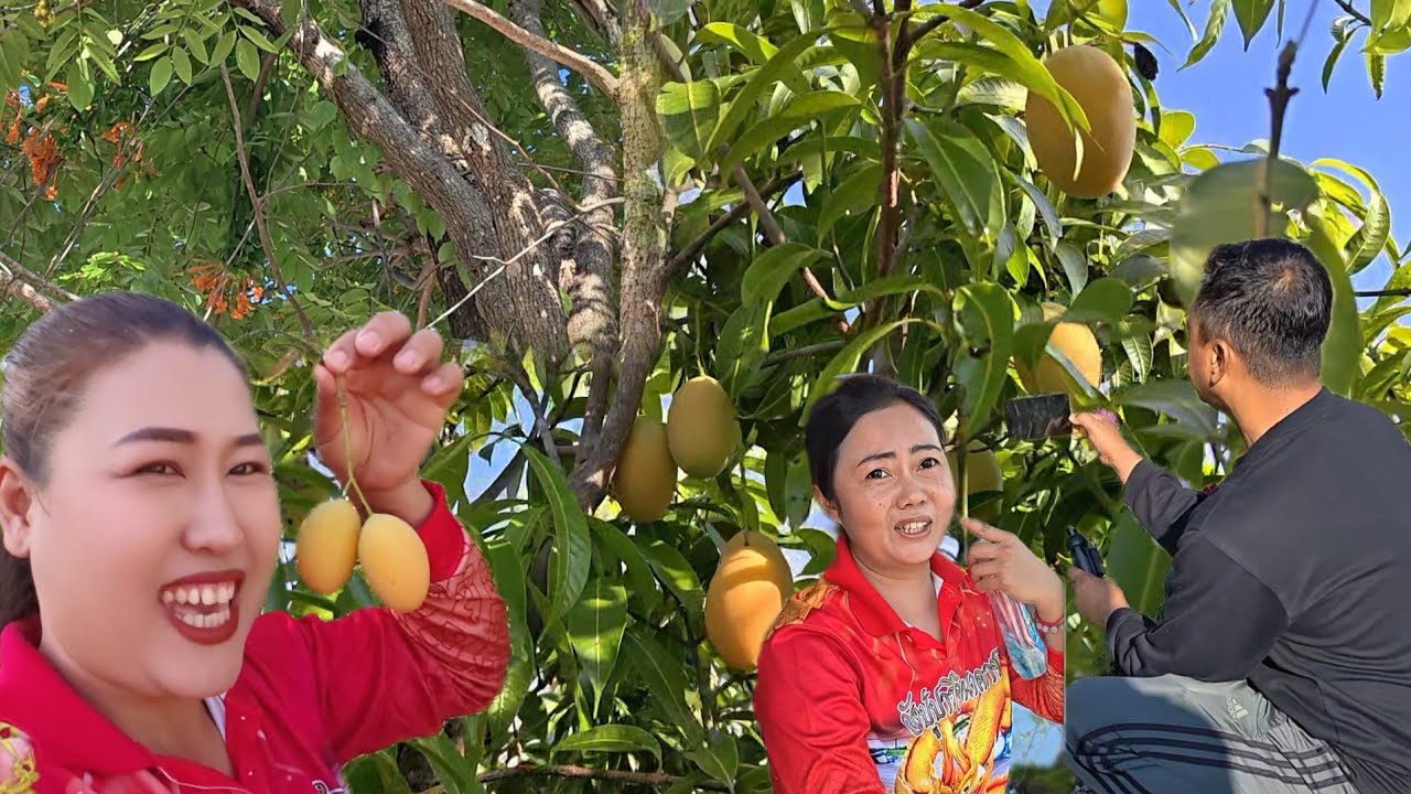 พี่เสือบอกเซอร์ไพรส์อยู่ที่หน้าออฟฟิศ  มาดูมะยงชิดถึงกับตะลึง#ปุ๊แม่น้องหมิว 