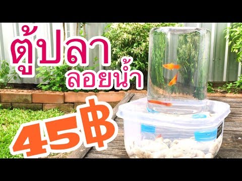 วีดีโอ: การสร้างตู้ปลาที่หลากหลาย