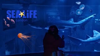 A Virtual Journey through SEA LIFE London | LONDON SEALIFE | SEALIFE | 2024