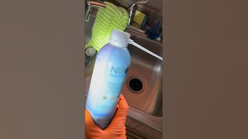 Fruit Flies Infesting Kitchen #pestcontrol #fruitflies