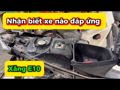 Cách nhận biết xe nào đáp ứng xăng e10 mới 2023 Cách nhận biết xe nào đáp ứng xăng e10 mới 2023