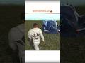 NEW LAMBORGHINI INDIAN BIKE DRIVING 3D 😍 #shorts #shorts #indianbikedriving3d #gta #gaming