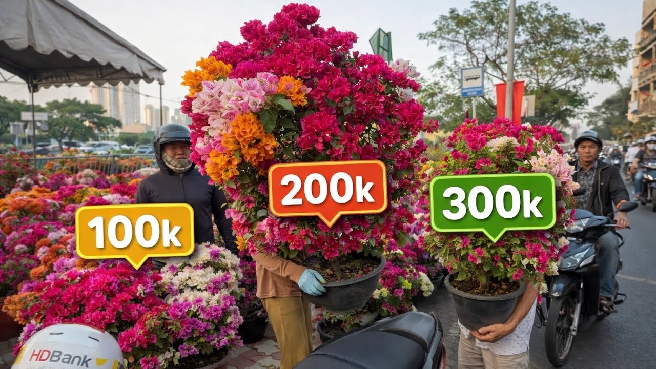 Người dân chen nhau mua cây bông giấy lớn 100k, 200k tại Bến Bình Đông Quận 8 chợ Hoa Tết 2026