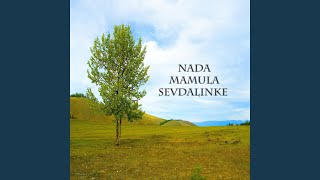 Sinoc ja i moja kona