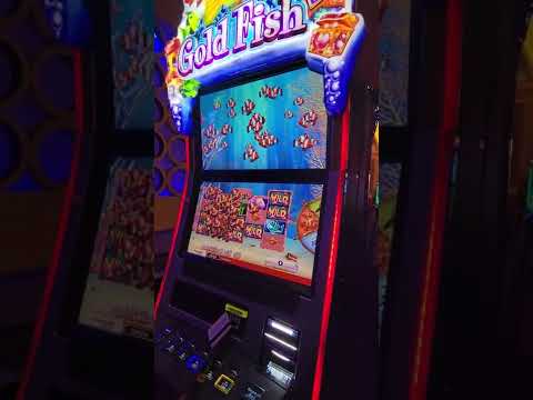 Dragon Link Slot Machine Bonus won at Choctaw Casino #dragonlink #shorts