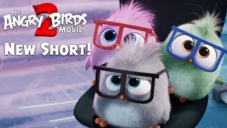 The Angry Birds Movie 2  Take Your Hatchlings To Work Day With Eugenio Derbez