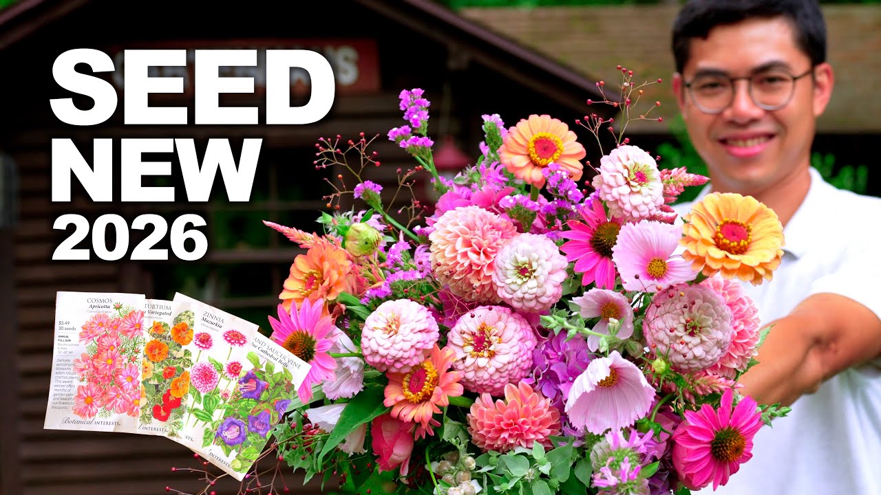 What's New in My 2026 Flower Seed Haul? - YouTube