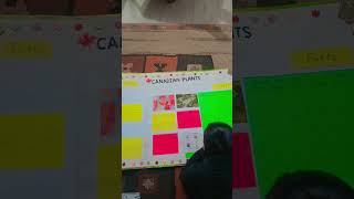 Working on my Canadian Heritage Project|Yashffa in Canada|