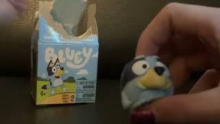 Another Bluey Mashem Unboxing