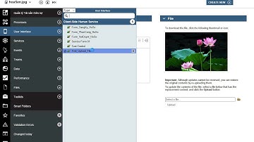 IBM BPM v.8.6.0 Image Control