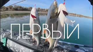 ЖЕРЕХ 🎣ТРИ ДУПЛЕТА ПО ТРИ ЖЕРЕХА 🎣🎣🎣+🐟🐟🐟✊️