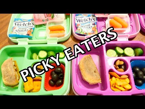 KIDS SCHOOL LUNCH IDEAS  FOR MY PICKY EATERS  K-7  (I sent ice cream)