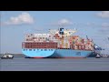 Ultra Large Ebba Maersk arrives to Felixstowe, assisted by three Svitzer tugs   26th April 2022