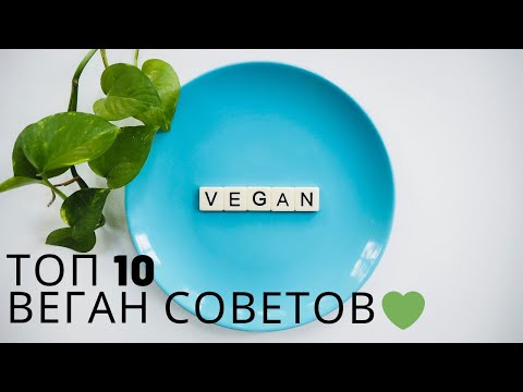 Как Стать Веганом?! 10 Советов Начинающим Веганам🌱