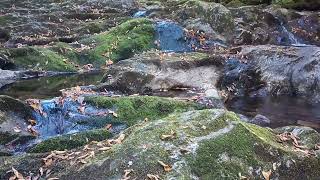 #TiWWL Fall 2025 Vermont Zen Ambience pt6 Non-AI Real Location Mountain Spring Fed Pure Vibes