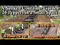 How to Grow 26 Peppers in Sunken Containers (In a 2 ft. x 18 ft. Space): Double Pepper Production!