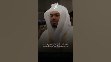 تلاوة خاشعة للشيخ ياسر الدوسري