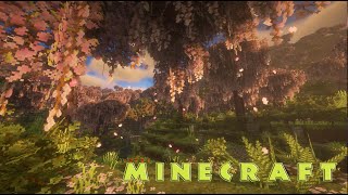 1 Hour of Peaceful Minecraft Ambience with Music to Calm Your Mind