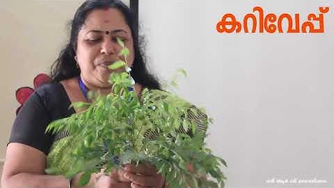 Std 5 Basic Science Unit 1 Class 02 White Board SLD