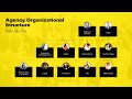 Digital marketing agency structure  how it looks