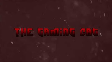 2D Intro - TheGamingCat