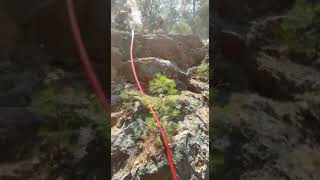 Isparta Da Kaplumbağanın Yangından Mucizevi Kurtuluşu