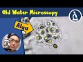 🔬 133 - How to look at an OLD WATER sample under the microscope | Amateur Microscopy