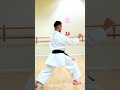 The Karate Training of a Black Belt 🥋⛩