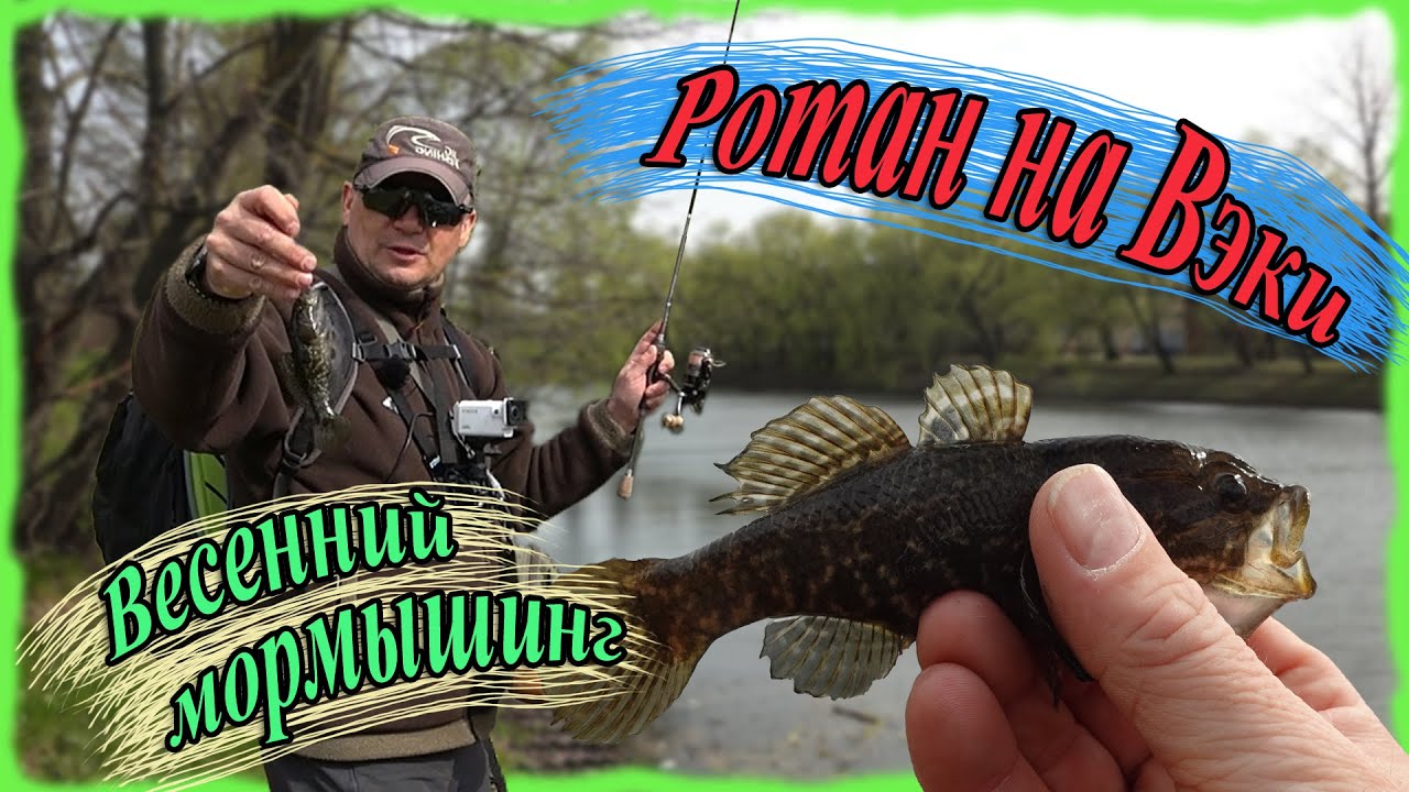 Ротан на Вэки. Весенний мормышинг