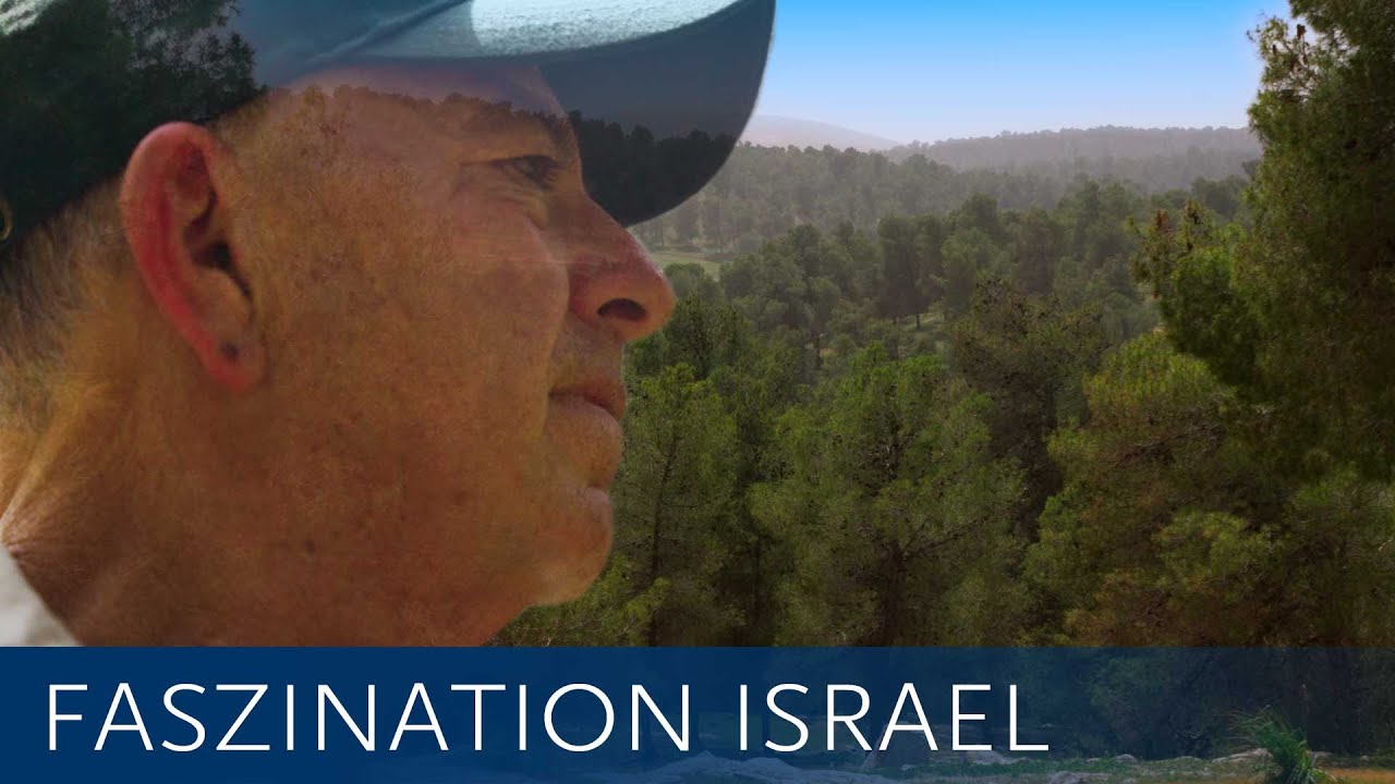 Israel erlebt sein grünes Wunder - aus Wüste wird Wald