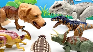 Dinosaur Head Matching Game! Dino & Animal Head Fun Video