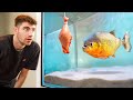 FEEDING My DARK WEB PIRANHAS... *5 Years Later...*