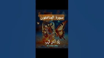 سورة المنافقون #quran #دويتو #دعاء #تيك #صباحالخير #duet #دعاءمستجاب #حالاتواتس #لايك #حالات_واتس