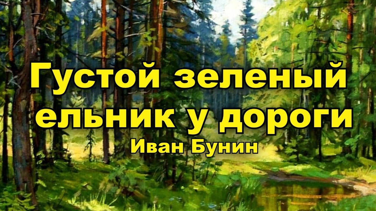 Густой зеленый ельник у дороги. Иван Бунин - YouTube