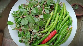 Nunar(Purslane)|Kashmiri style Nuner (kulfa)recipe|How to cook wild pursaline. screenshot 3