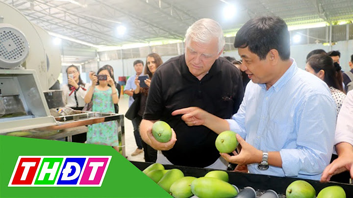 Trái cây Việt Nam thuận lợi xuất khẩu sang Mỹ | THDT
