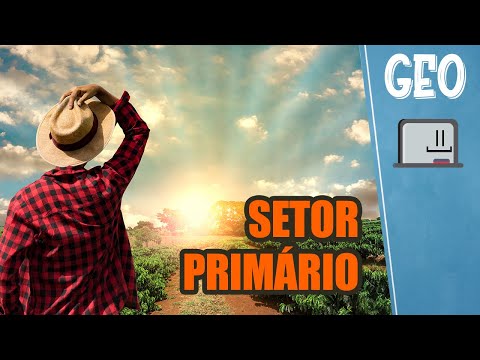 Vídeo: O que é setor primário?