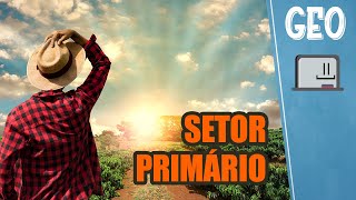 O que é o setor primário? - Extrativismo, agricultura e pecuária