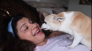 When Our Dogs Joined us for Chai Pakoda | Ss Vlogs :-)