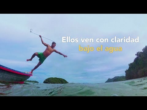 Vídeo: Los 