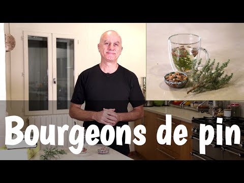 Vidéo: Centaury - Propriétés Utiles, Utilisation Pour L'alcoolisme