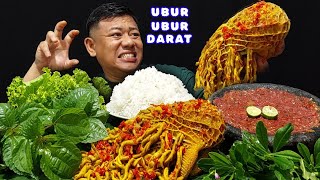 MAKAN BESAR ⁉️ ENAK BANGET UBUR UBUR DARAT PEDAS SAMBEL DADAKAN LALAPAN MENTAH