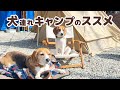 【キャンプ】2泊3日 愛犬と一緒に楽しむキャンプの過ごし方【アウトドアで盛り上がるゲーム?モルック初体験】