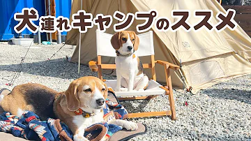 ちのぴのモブペット
