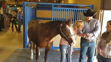 Smooth As A Cat visita el NRCHA Futurity