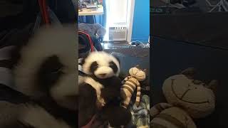 Pandy And Hayden Sings MMMBop