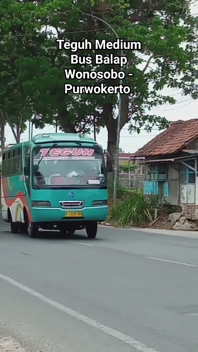 Teguh. Medium Bus Purwokerto - Wonosobo