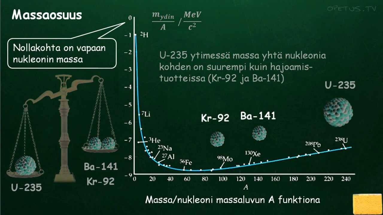 FY8 Ytimen massavaje ja massaosuus