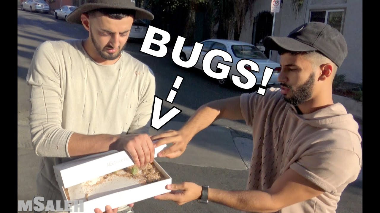 BUGS IN BIRTHDAY PRESENT PRANK!!!