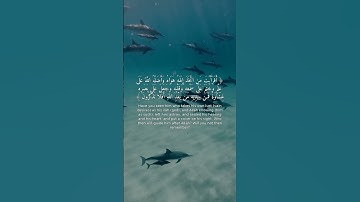 تلاوة خاشعة | سورة الجاثية 23 | تريح القلب 💖
